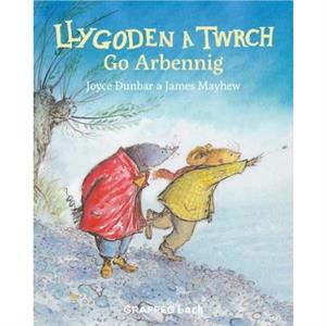 Llygoden a Twrch Go Arbennig by Joyce Dunbar