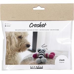 Mini Craft Kit Crochet