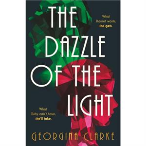 The Dazzle of the Light by Georgina Clarke