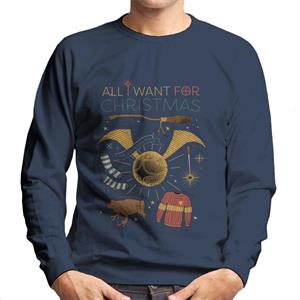 Harry Potter Christmas All I Want Is Men's Sweatshirt