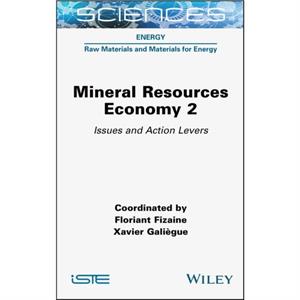 Mineral Resource Economy 2 by F Fizaine