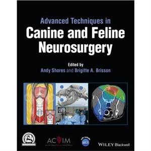 Advanced Techniques in Canine and Feline Neurosurgery by A Shores