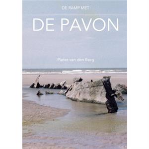 De ramp met de Pavon by Pieter Van Den Berg