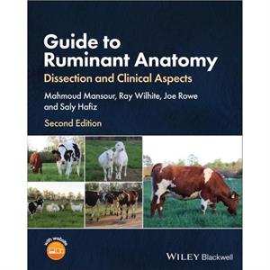 Guide to Ruminant Anatomy by M Mansour