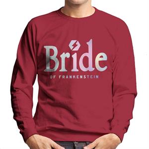 Bride Of Frankenstein Gradient Logo Men's Sweatshirt