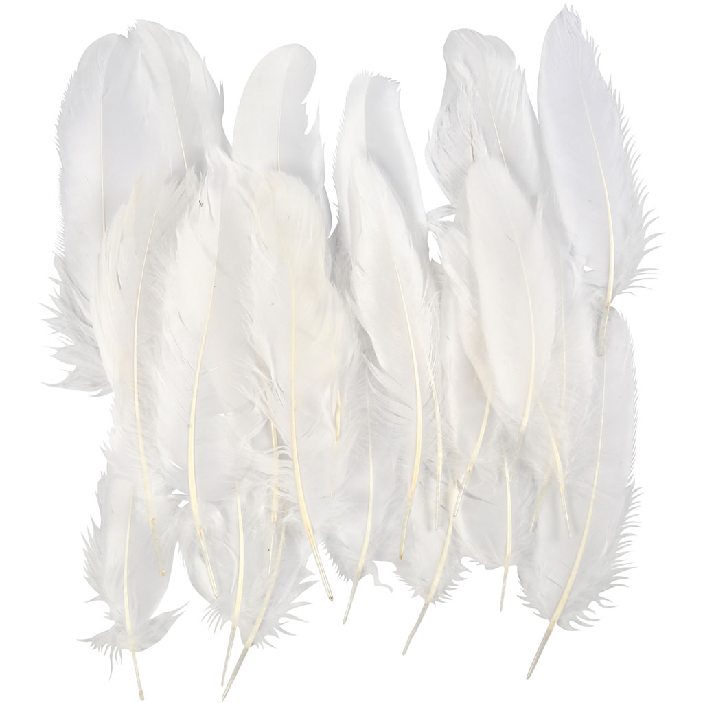 Feathers, white, 350 pc/ 1 pack