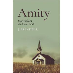 Amity by J. Brent Bill