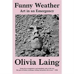 Funny Weather  Art in an Emergency by Olivia Laing